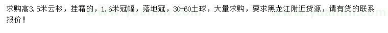 求購(gòu)高3.5米云杉