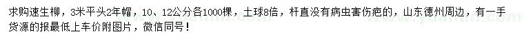 求購(gòu)10、12公分速生柳