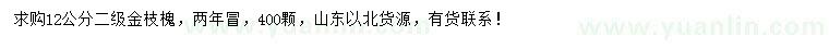 求購(gòu)12公分金枝槐