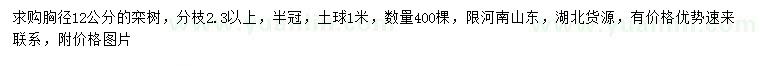 求購(gòu)胸徑12公分欒樹