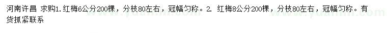 求購(gòu)6、8公分紅梅