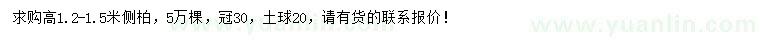求購高1.2-1.5米側(cè)柏