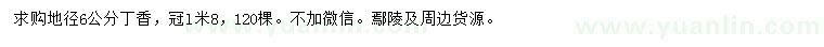 求購地徑6公分丁香