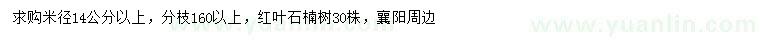 求購米徑14公分以上紅葉石楠