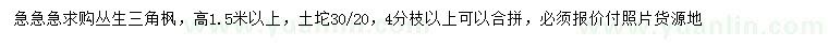 求購高1.5米以上叢生三角楓