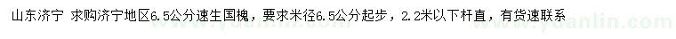 求購米徑6.5公分速生國槐