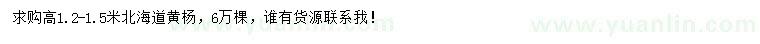 求購高1.2-1.5米北海道黃楊
