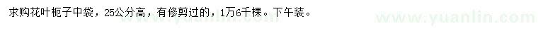 求購(gòu)高25公分花葉枙子