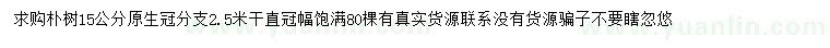 求購15公分樸樹
