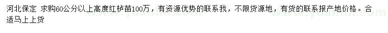 求購高度60公分以上紅櫨