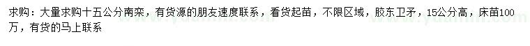 求購15公分南欒、高15公分膠東衛(wèi)矛