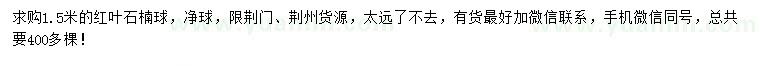 求購1.5米紅葉石楠球