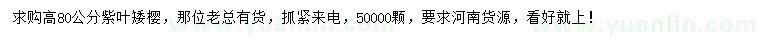 求購(gòu)高80公分紫葉矮櫻