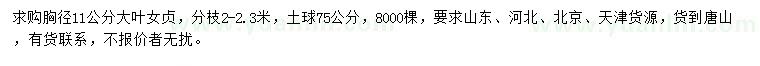 求購胸徑11公分大葉女貞