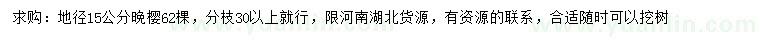 求購地徑15公分晚櫻
