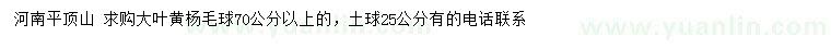 求購(gòu)70公分以上大葉黃楊毛球