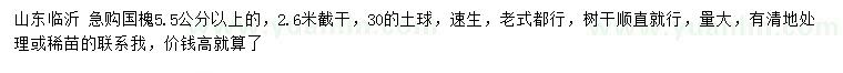求購(gòu)5.5公分以上國(guó)槐