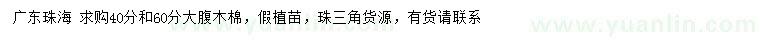 求購(gòu)40、60公分大腹木棉