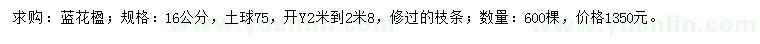 求購(gòu)16公分藍(lán)花楹