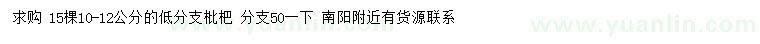 求購10-12公分枇杷