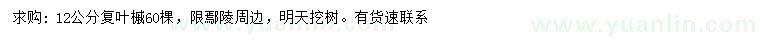 求購12公分復(fù)葉槭