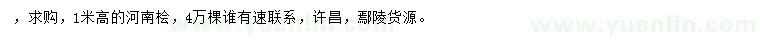 求購(gòu)高1米河南檜