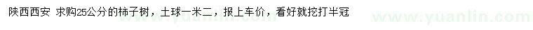 求購25公分柿子樹