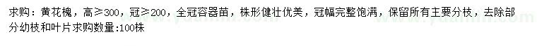求購高300公分以上黃花槐