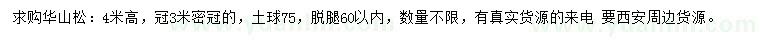 求購4米華山松
