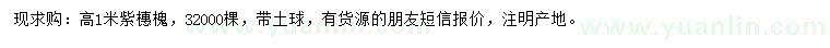 求購高1米紫橞槐