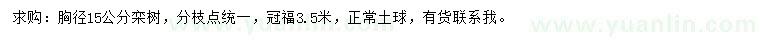 求購胸徑15公分欒樹