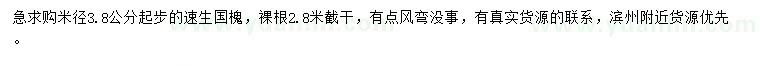 求購米徑3.8公分起步速生國槐