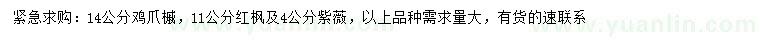 求購雞爪槭、紅楓、紫薇