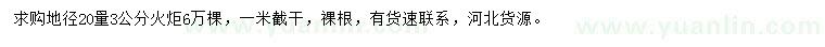 求購地徑20量3公分火炬