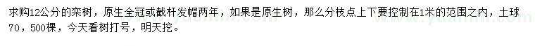 求購(gòu)12公分欒樹