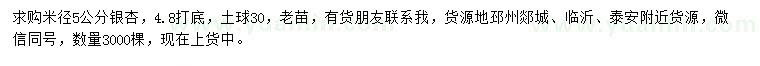 求購(gòu)米徑5公分銀杏