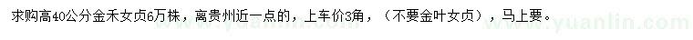 求購(gòu)高40公分金禾女貞