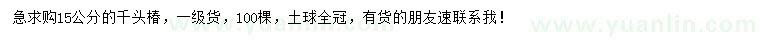 求購15公分千頭椿