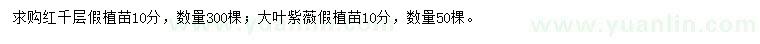 求購10公分紅千層、大葉紫薇