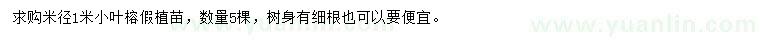 求購米徑1米小葉榕