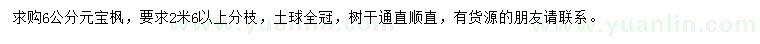 求購6公分元寶楓