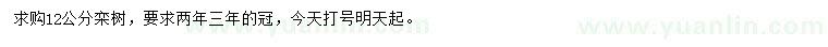 求購12公分欒樹