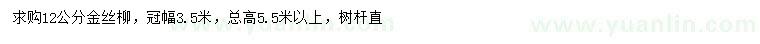 求購12公分金絲垂柳