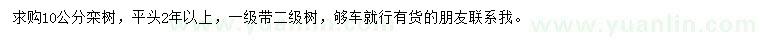 求購10公分欒樹