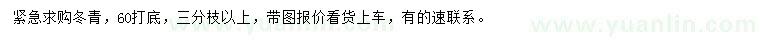 求購(gòu)60公分以上冬青