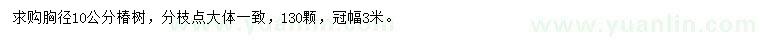 求購胸徑10公分椿樹