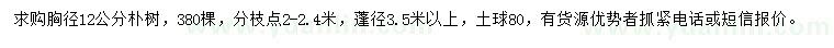 求購胸徑12公分樸樹