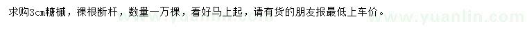 求購3公分糖槭