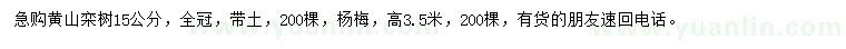 求購(gòu)15公分黃山欒樹、高3.5米楊梅