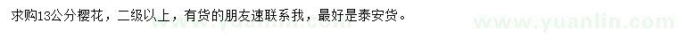 求購13公分櫻花